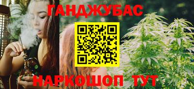 гидра Бердск