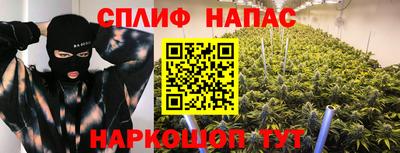 гидра Бердск