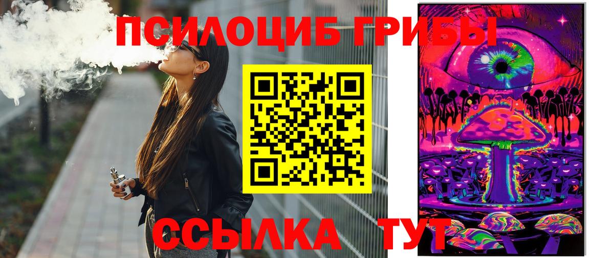 Сегежа  Галлюциногенные грибы прущие грибы  Вход с VPN 