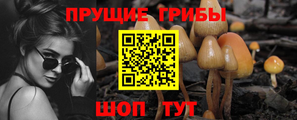 Галлюциногенные грибы Magic Shrooms Сегежа